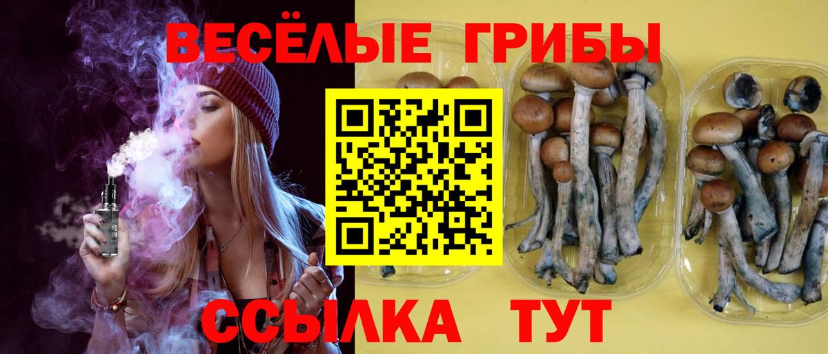 Галлюциногенные грибы MAGIC MUSHROOMS Саранск