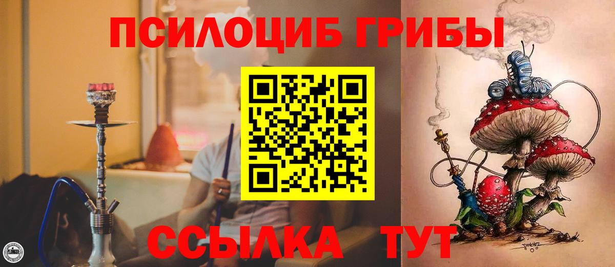 Псилоцибиновые грибы Cubensis  Псилоцибиновые грибы Cubensis  Вход с VPN  Саранск 